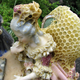 Illustration for article titled Artist makes gorgeous sculptures in collaboration with bees